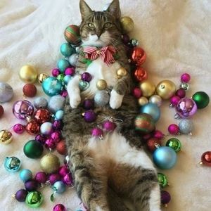 Meet your Posher, Jay